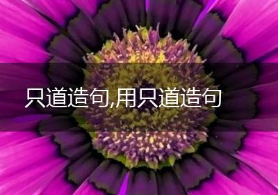 只道造句,用只道造句