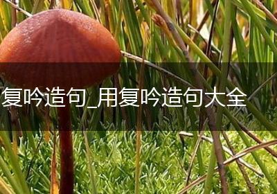 复吟造句_用复吟造句大全