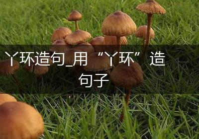 丫环造句_用“丫环”造句子