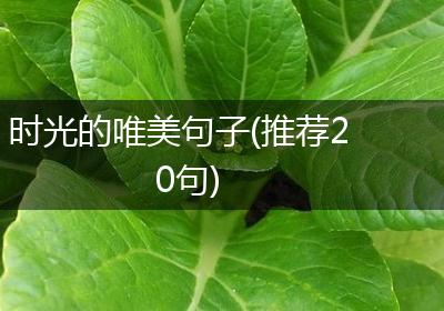 时光的唯美句子(推荐20句)