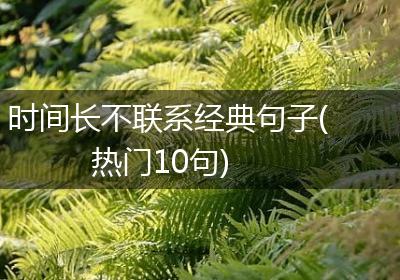 时间长不联系经典句子(热门10句)