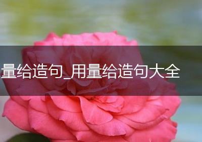 量给造句_用量给造句大全