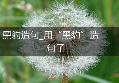 黑豹造句_用“黑豹”造句子