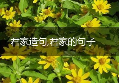 君家造句,君家的句子