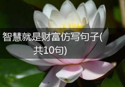智慧就是财富仿写句子(共10句)