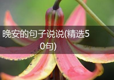 晚安的句子说说(精选50句)