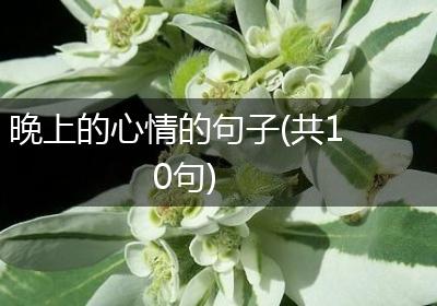 晚上的心情的句子(共10句)