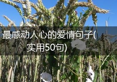 最感动人心的爱情句子(实用50句)