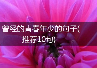 曾经的青春年少的句子(推荐10句)