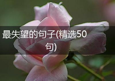 最失望的句子(精选50句)