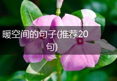 暖空间的句子(推荐20句)