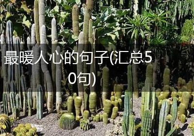 最暖人心的句子(汇总50句)