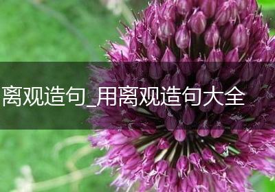 离观造句_用离观造句大全