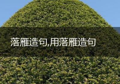 落雁造句,用落雁造句