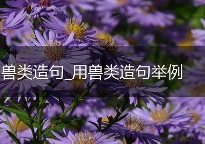兽类造句_用兽类造句举例