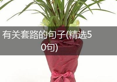 有关套路的句子(精选50句)
