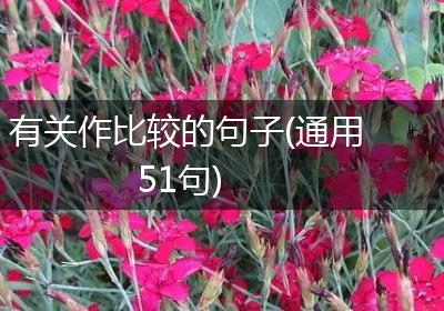 有关作比较的句子(通用51句)