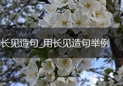 长见造句_用长见造句举例