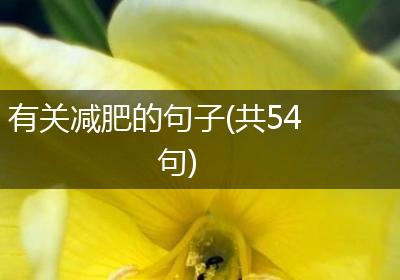 有关减肥的句子(共54句)