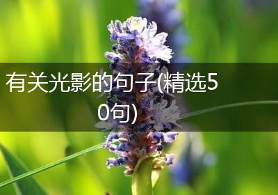 有关光影的句子(精选50句)