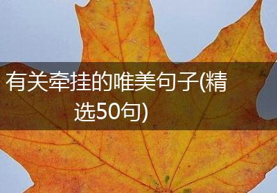 有关牵挂的唯美句子(精选50句)