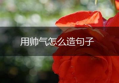 用帅气怎么造句子