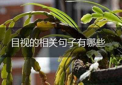 目视的相关句子有哪些