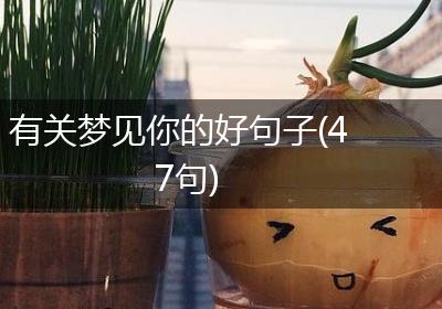 有关梦见你的好句子(47句)