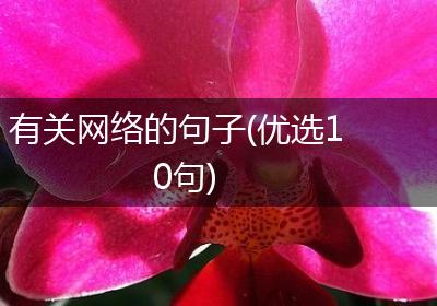 有关网络的句子(优选10句)