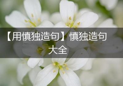 【用慎独造句】慎独造句大全