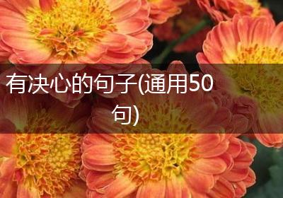 有决心的句子(通用50句)