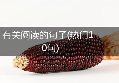 有关阅读的句子(热门10句)