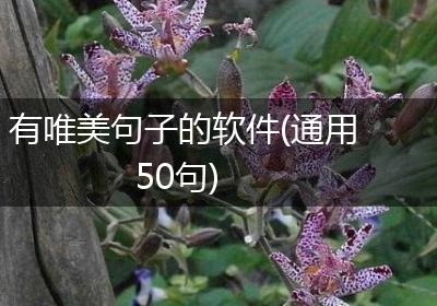 有唯美句子的软件(通用50句)