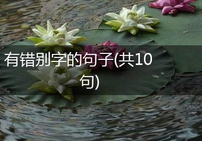 有错别字的句子(共10句)