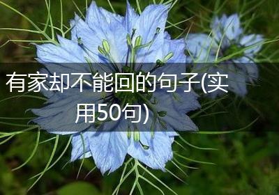 有家却不能回的句子(实用50句)