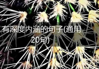 有深度内涵的句子(通用20句)