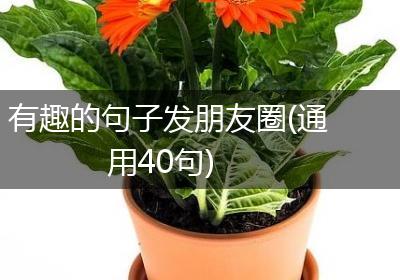 有趣的句子发朋友圈(通用40句)