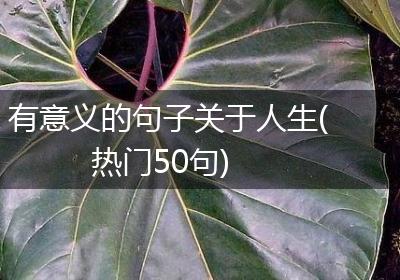 有意义的句子关于人生(热门50句)