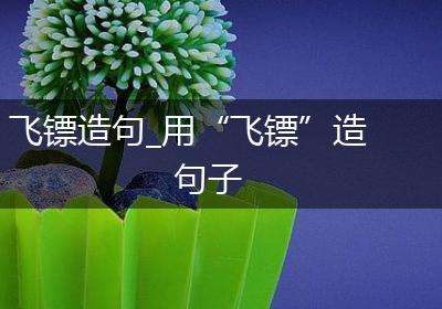 飞镖造句_用“飞镖”造句子