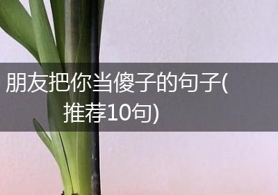 朋友把你当傻子的句子(推荐10句)