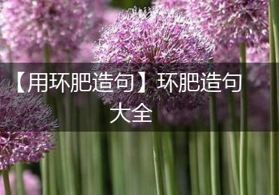 【用环肥造句】环肥造句大全