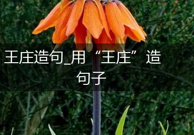 王庄造句_用“王庄”造句子