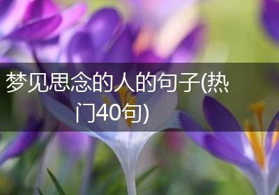 梦见思念的人的句子(热门40句)