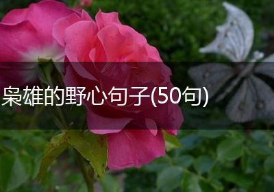 枭雄的野心句子(50句)