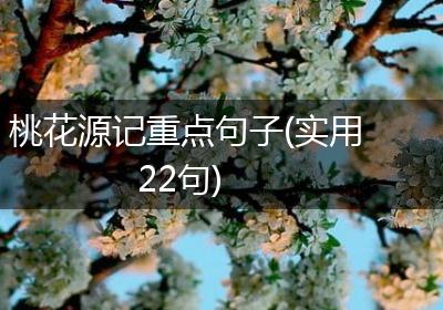 桃花源记重点句子(实用22句)