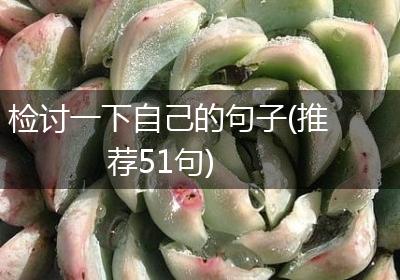 检讨一下自己的句子(推荐51句)