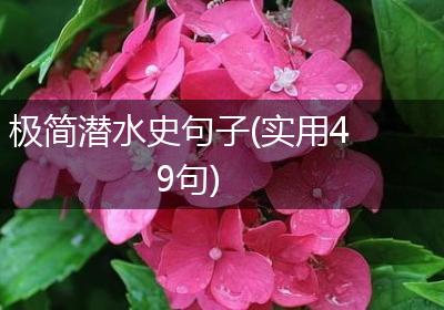 极简潜水史句子(实用49句)