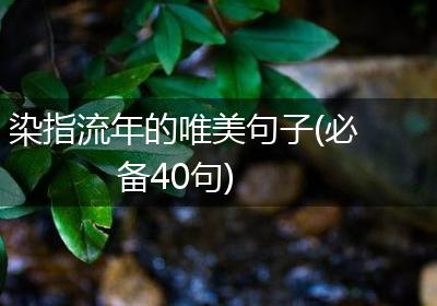 染指流年的唯美句子(必备40句)