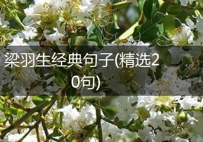 梁羽生经典句子(精选20句)