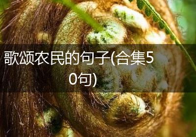 歌颂农民的句子(合集50句)